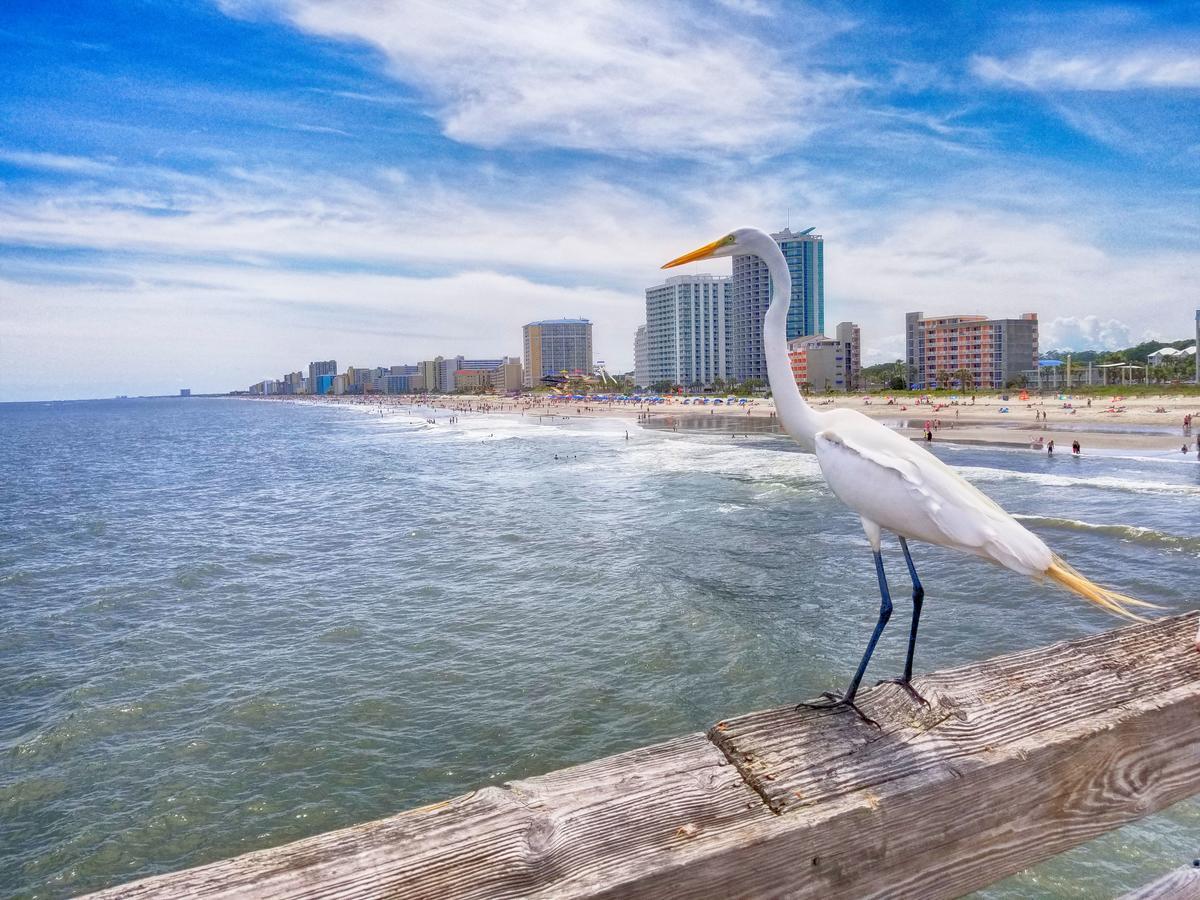 Apartament Ocean Front 3Rd Floor 1Br Myrtle Beach Zewnętrze zdjęcie